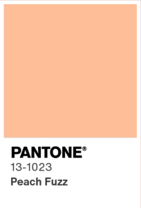 2024 metų spalva PANTONE 13-1023 PeachFuzz
